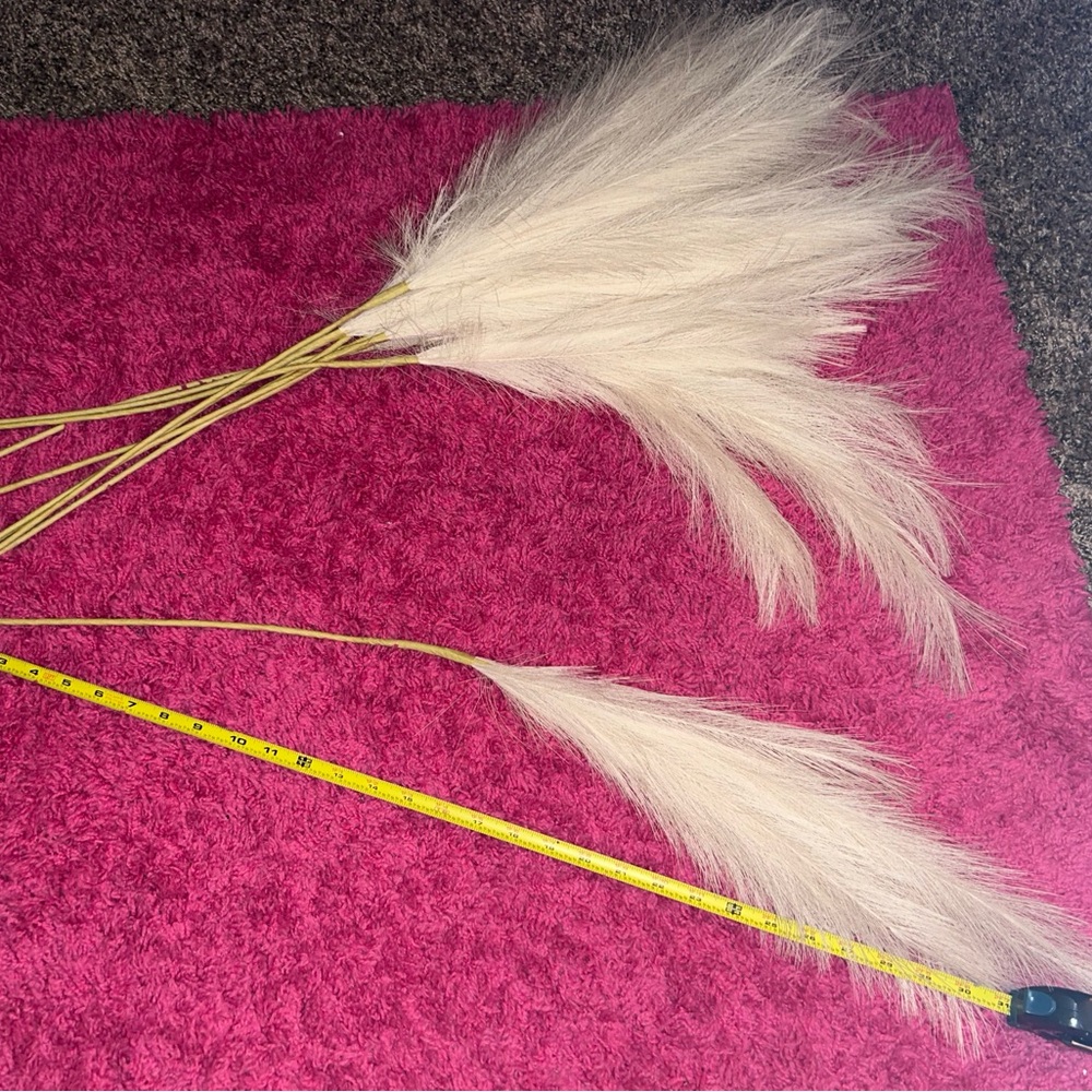 Decorative Pampas Grass Stems